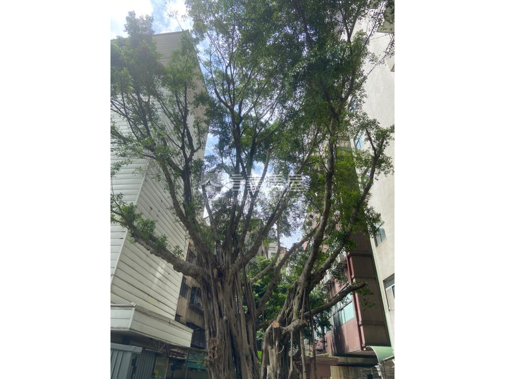 正隆天第極稀有露臺高樓戶房屋室內格局與周邊環境