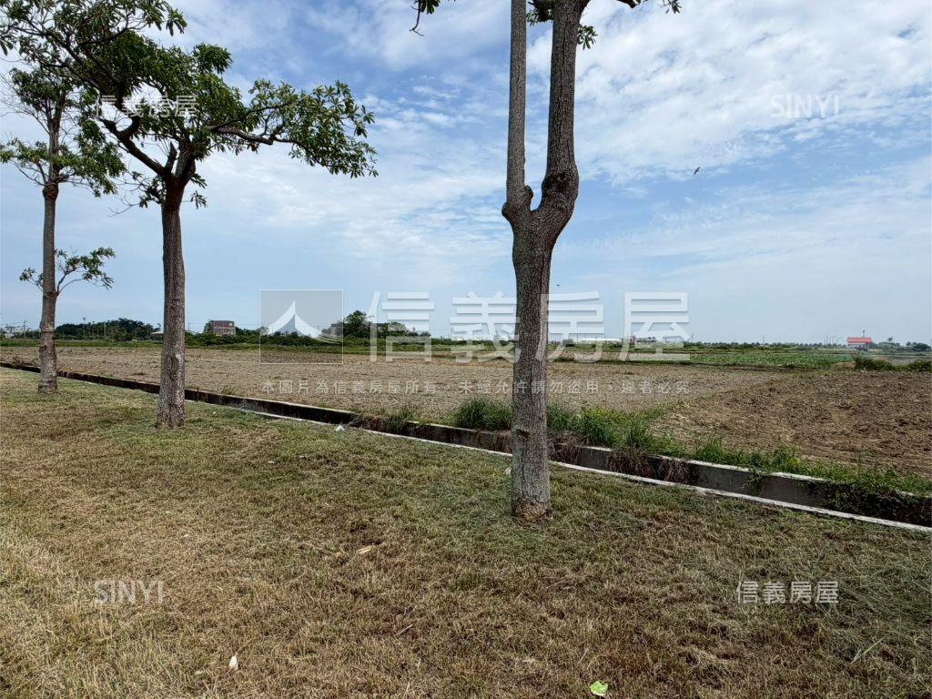 學甲西進段農地１２１４坪房屋室內格局與周邊環境