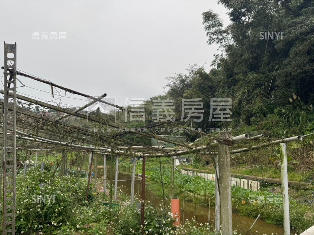 北峰段１３８０地號房屋室內格局與周邊環境