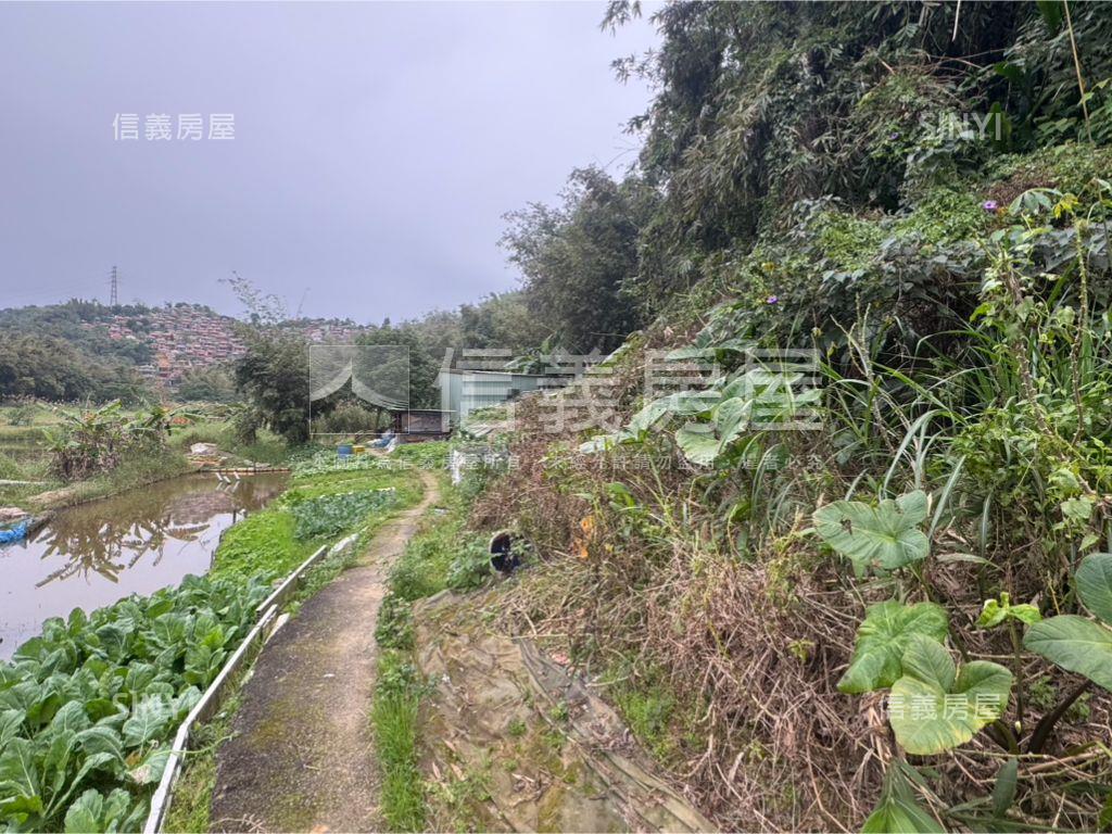 北峰段１３８０地號房屋室內格局與周邊環境