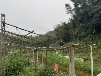 北峰段１３８０地號