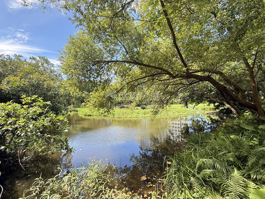 松菸湖景美三房華廈房屋室內格局與周邊環境