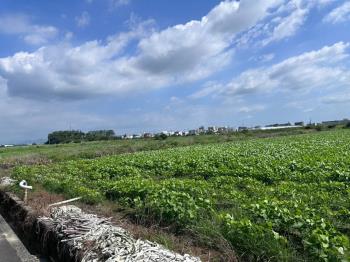 【台中】地形方正農地Ａ