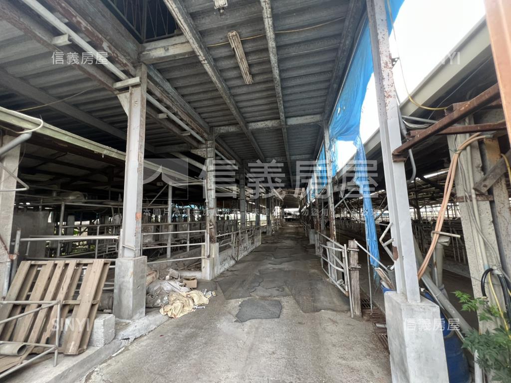 新營酪農牛畜舍房屋室內格局與周邊環境