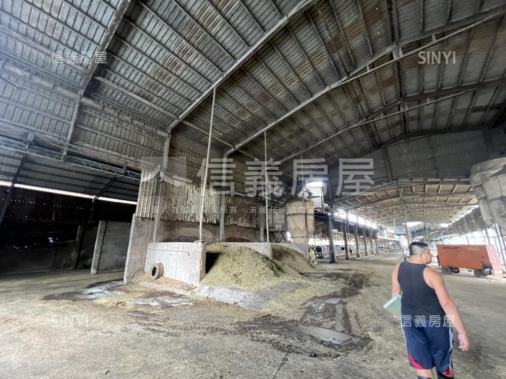 新營酪農牛畜舍房屋室內格局與周邊環境