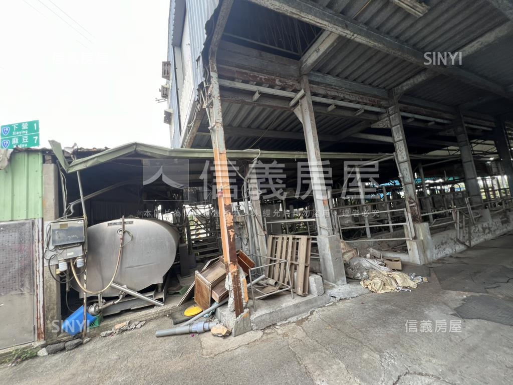 新營酪農牛畜舍房屋室內格局與周邊環境
