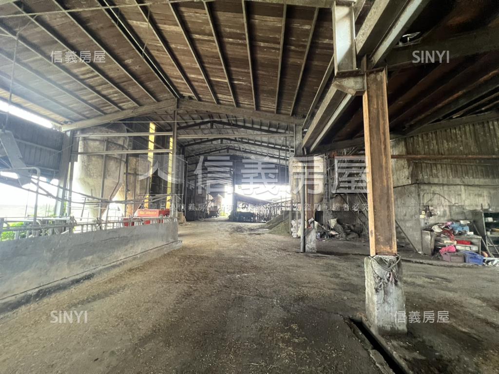 新營酪農牛畜舍房屋室內格局與周邊環境