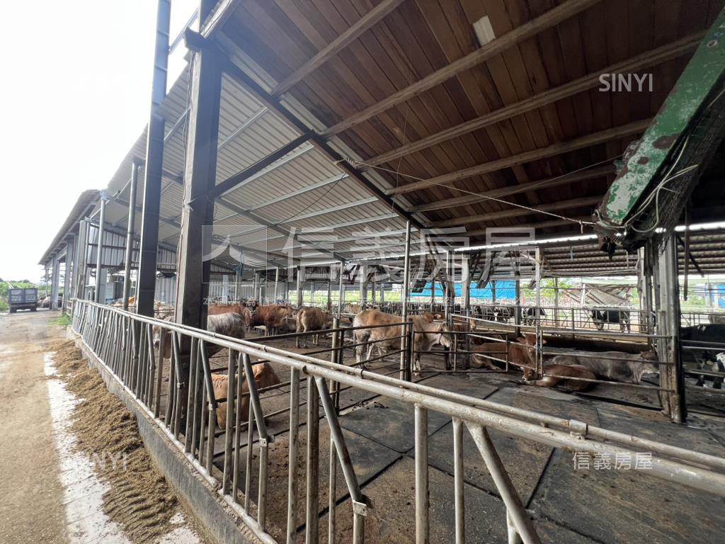 新營酪農牛畜舍房屋室內格局與周邊環境