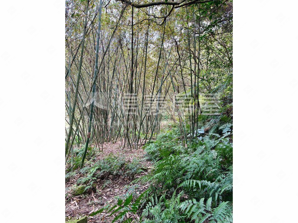 ４塊農地房屋室內格局與周邊環境