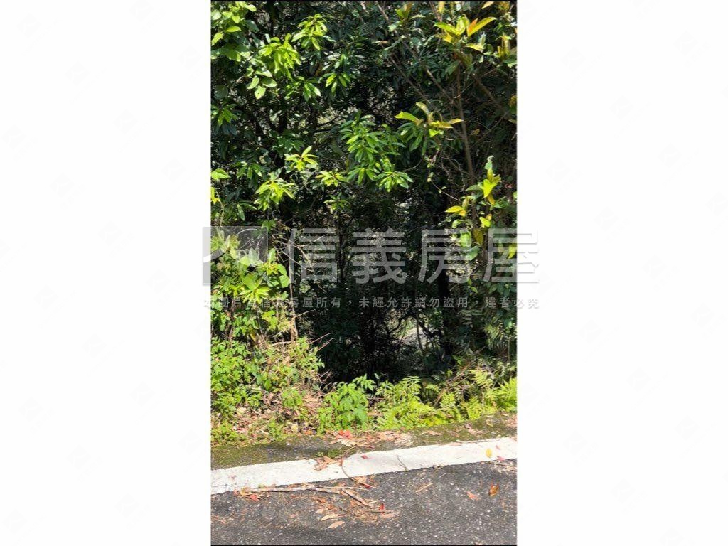 ４塊農地房屋室內格局與周邊環境