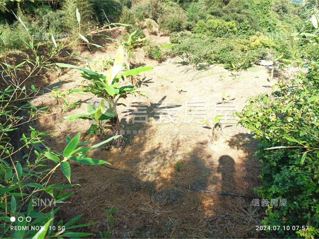 ４塊農地房屋室內格局與周邊環境