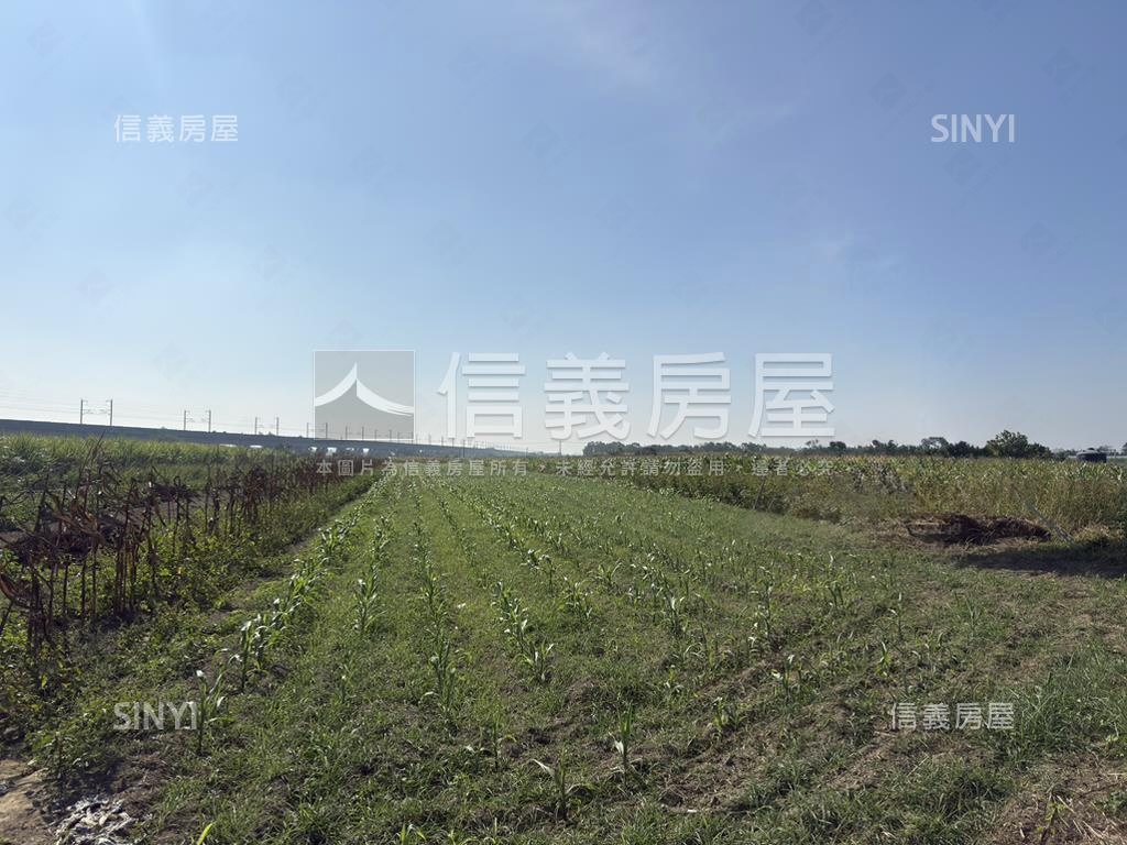 善化近３分美農地房屋室內格局與周邊環境