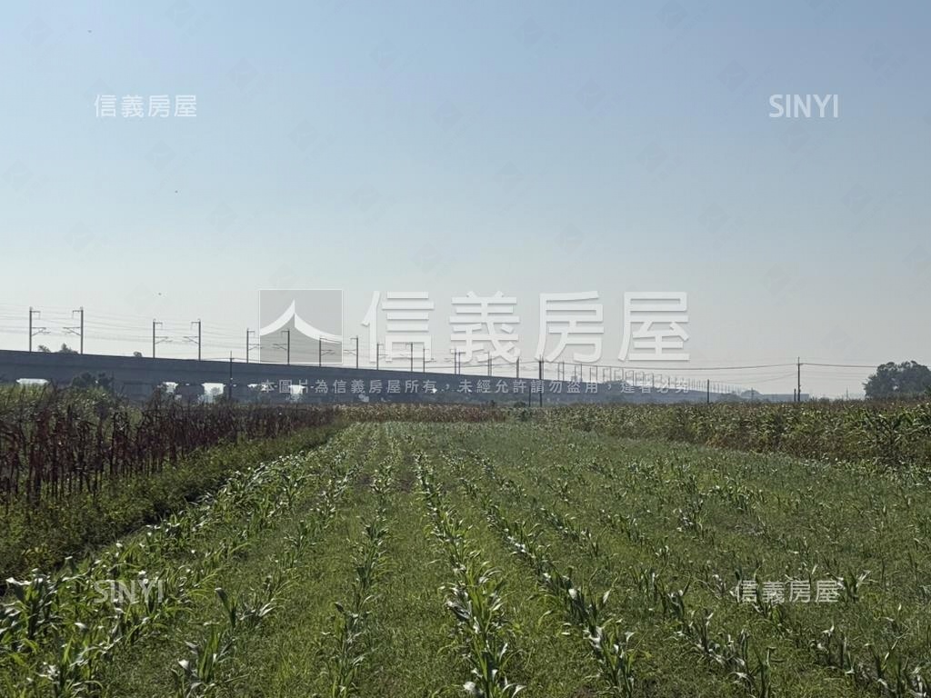 善化近３分美農地房屋室內格局與周邊環境