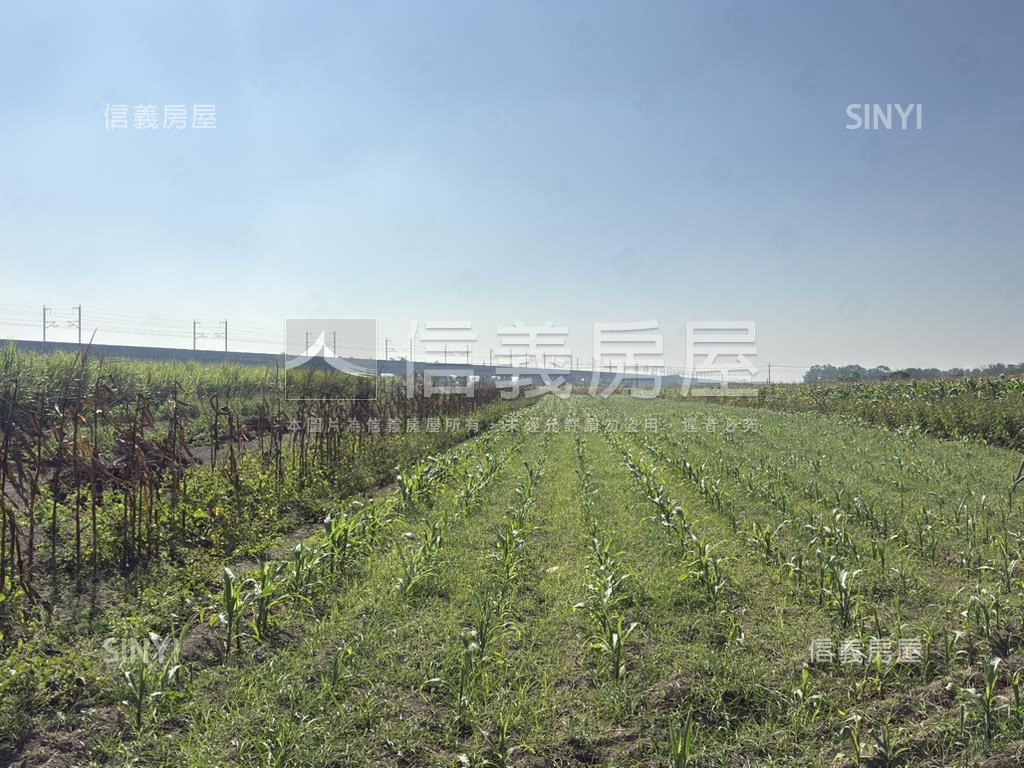 善化近３分美農地房屋室內格局與周邊環境