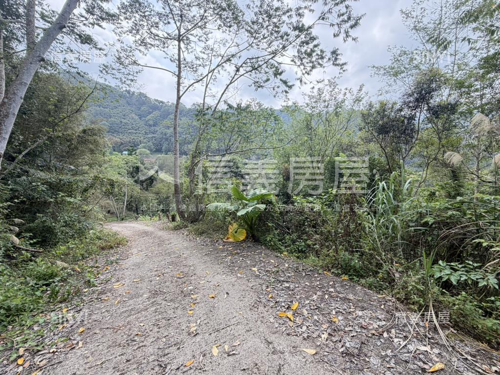 尖石聽溪觀螢臨路丙建農地房屋室內格局與周邊環境