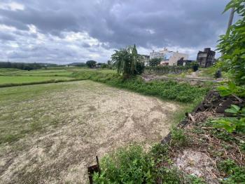保力段約２３４．４坪農地