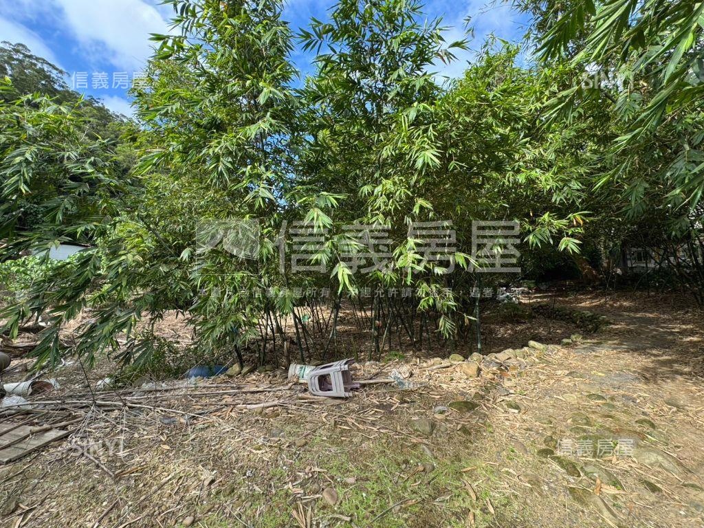 五股坑土地房屋室內格局與周邊環境