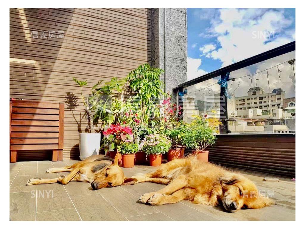 稀有露臺小天晴房屋室內格局與周邊環境