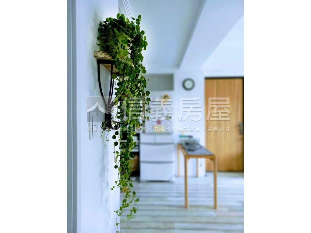 稀有露臺小天晴房屋室內格局與周邊環境