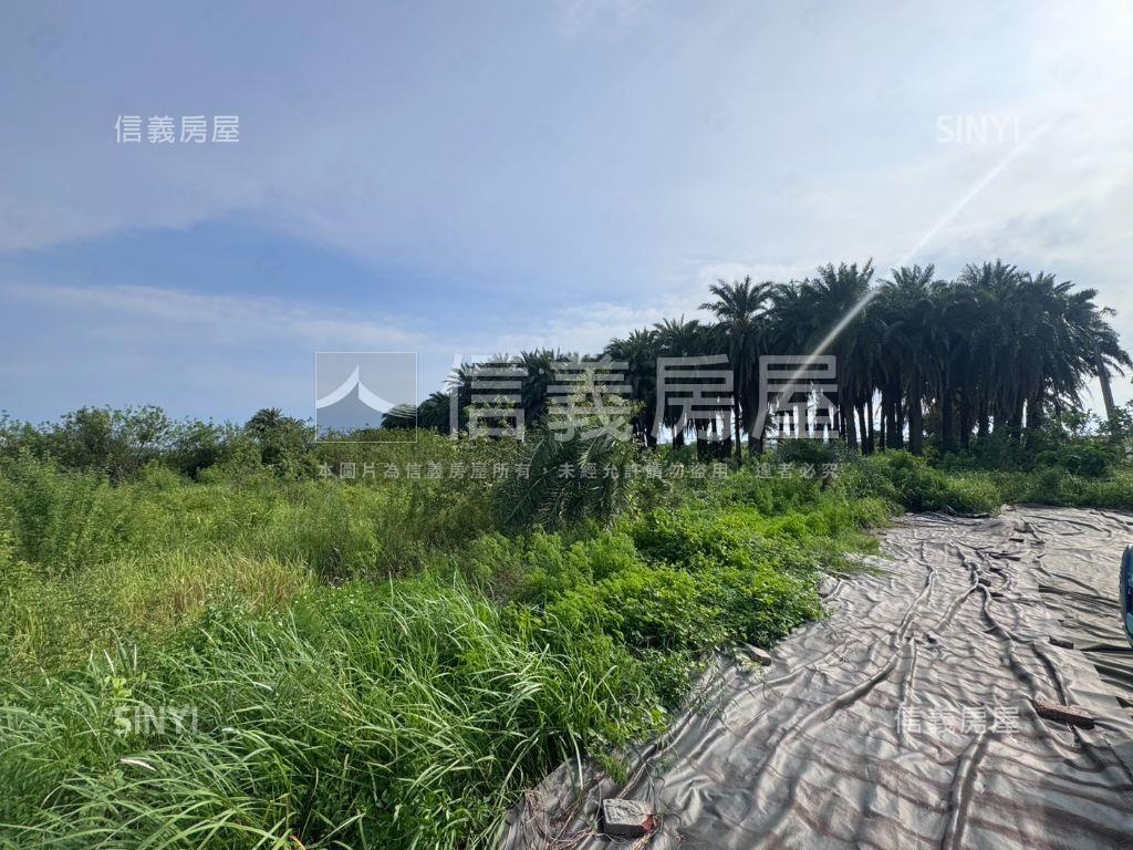安南區安中路都內超美農地房屋室內格局與周邊環境