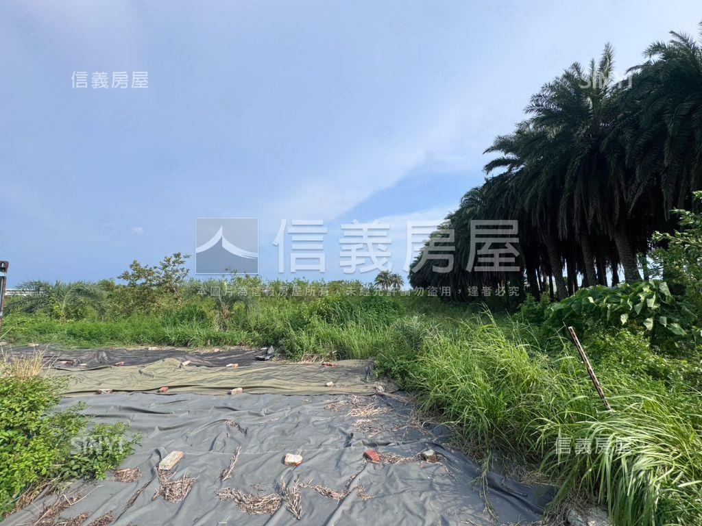 安南區安中路都內超美農地房屋室內格局與周邊環境