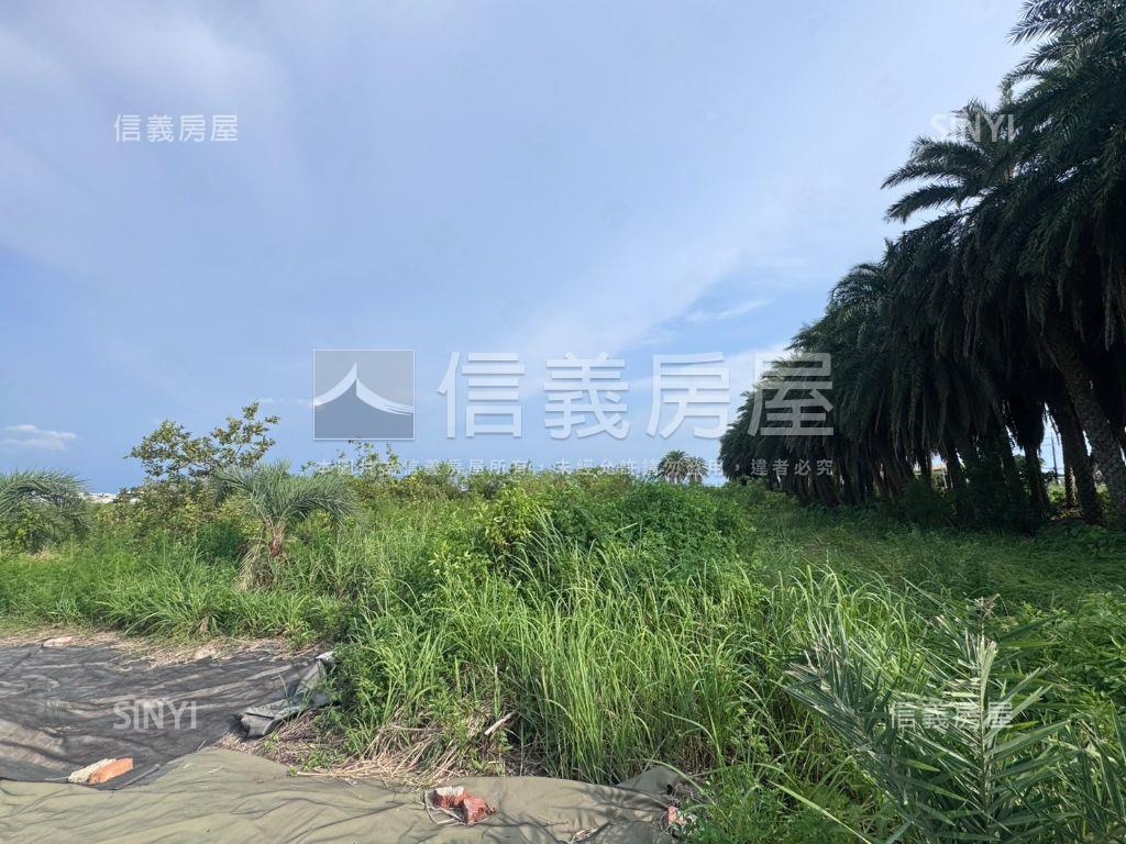 安南區安中路都內超美農地房屋室內格局與周邊環境