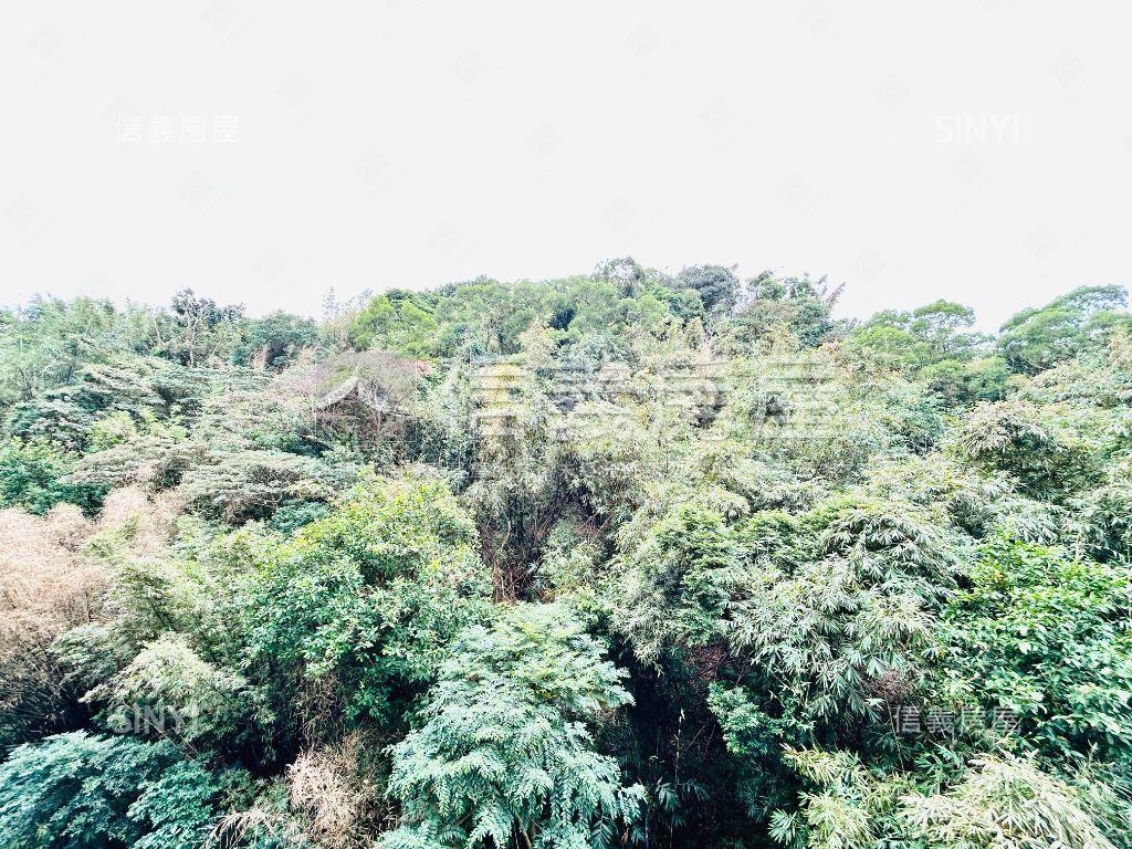 碧湖大苑‧四房車位房屋室內格局與周邊環境