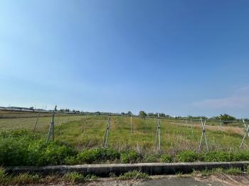 七股約３７２坪農地