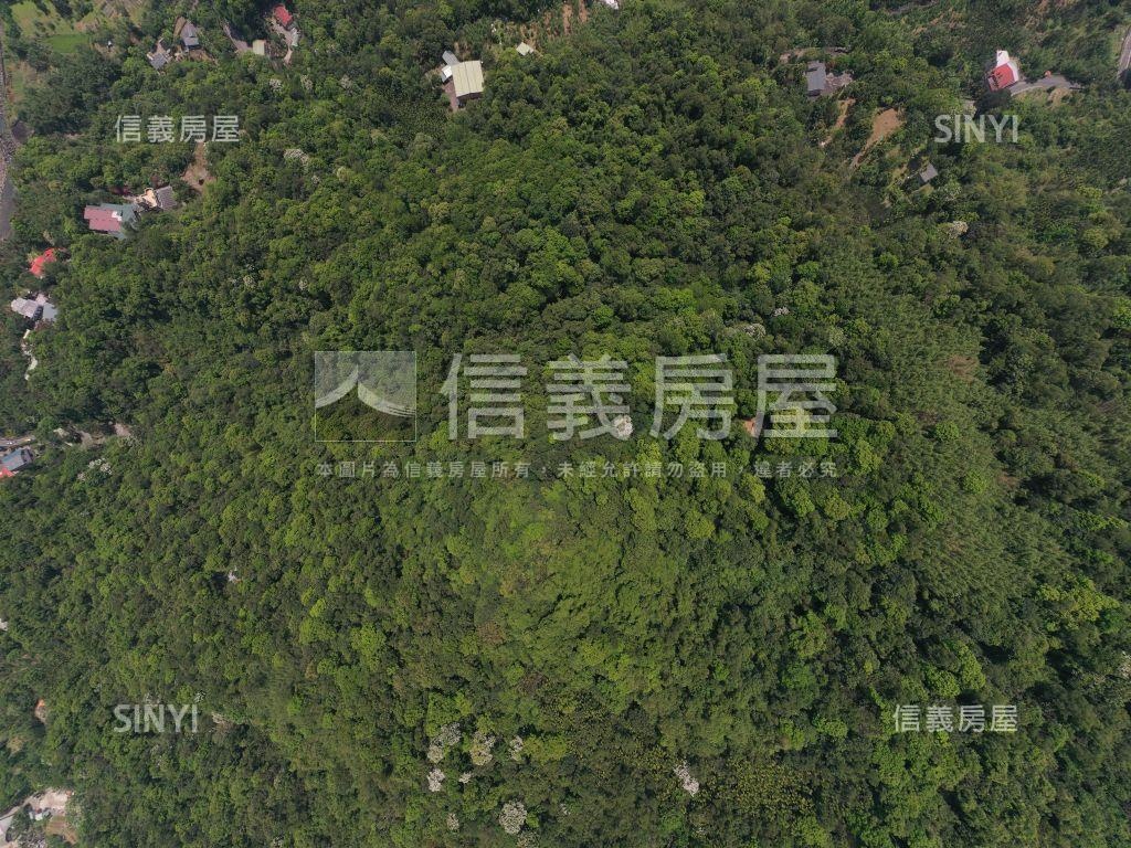 新店溪稀有清幽土地房屋室內格局與周邊環境