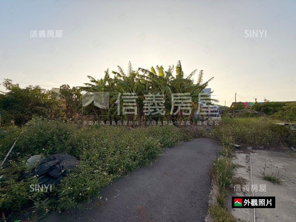 佳里休閒大面寬土地房屋室內格局與周邊環境