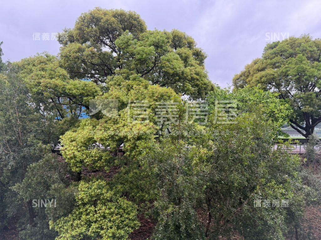 美妝河景寓房屋室內格局與周邊環境
