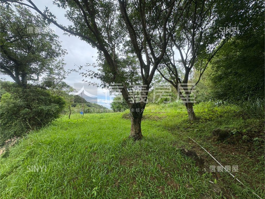 三芝秘境保育美地房屋室內格局與周邊環境