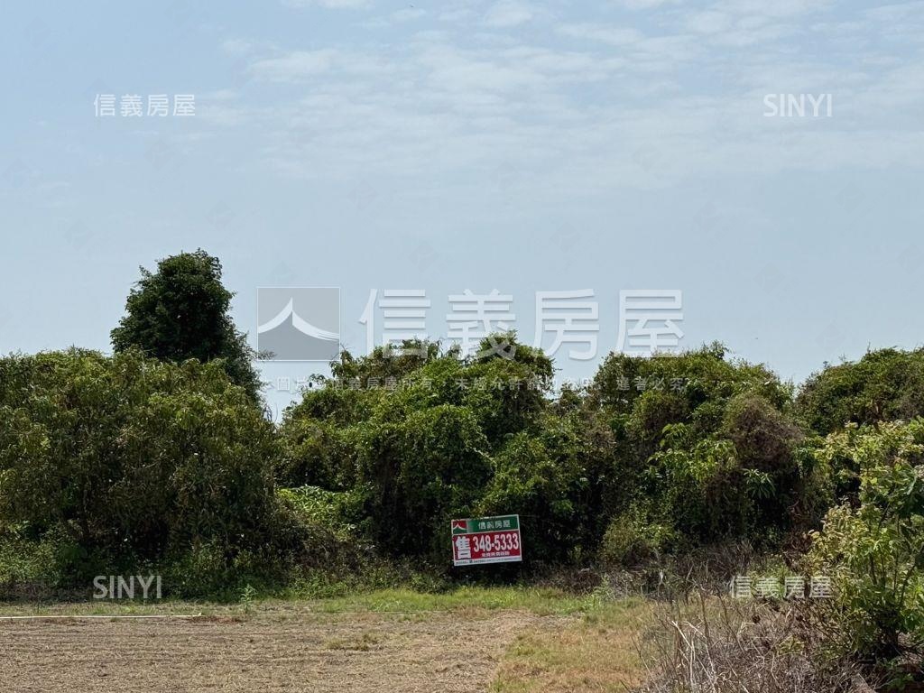 邊務農邊看崗山之眼房屋室內格局與周邊環境