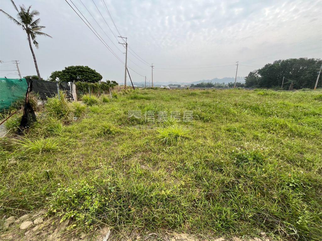 大社千坪臨路農地房屋室內格局與周邊環境