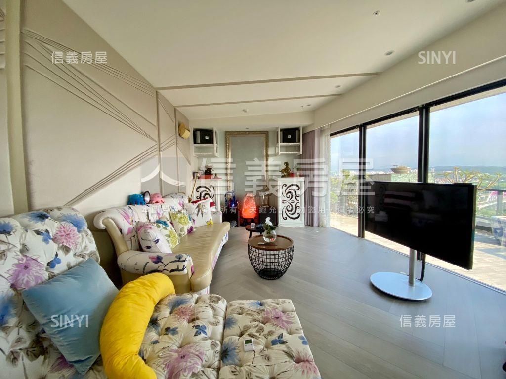 大觀無極尊榮帝王視野豪邸房屋室內格局與周邊環境