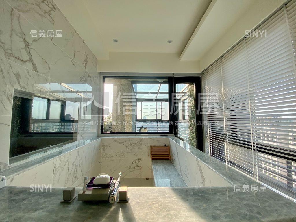 大觀無極尊榮帝王視野豪邸房屋室內格局與周邊環境