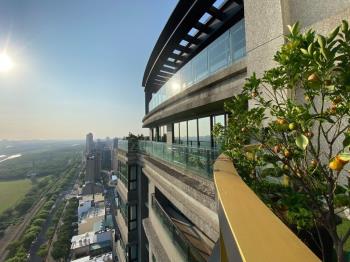 大觀無極尊榮帝王視野豪邸