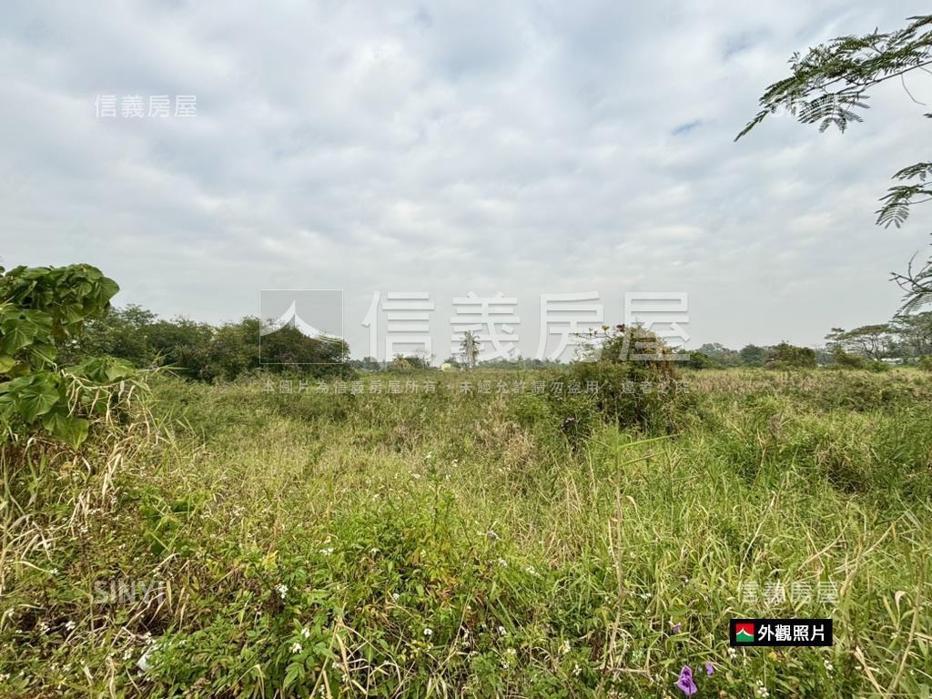 近嘉藥都計內大坪農地房屋室內格局與周邊環境