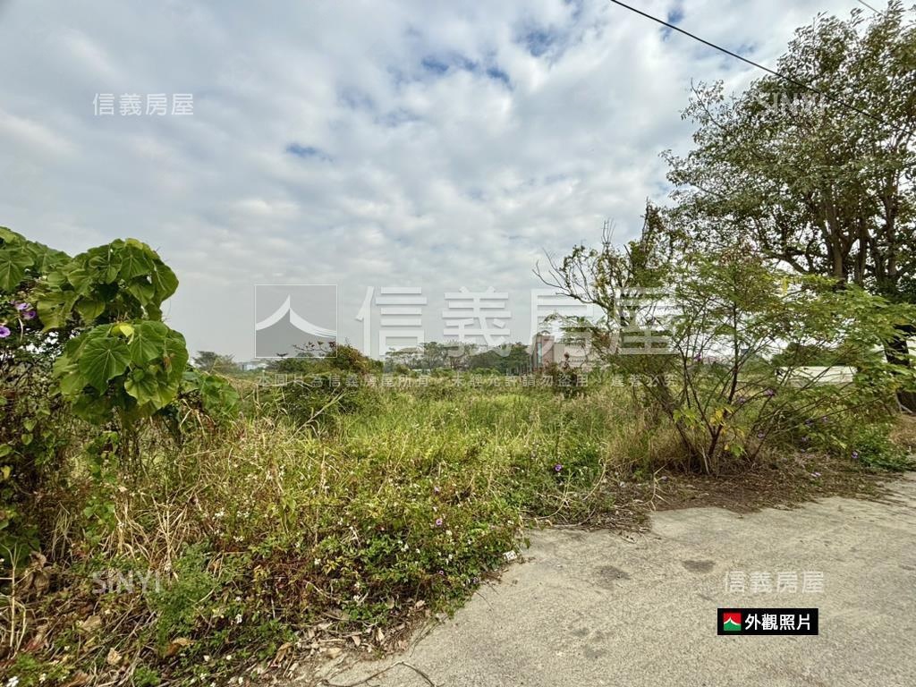 近嘉藥都計內大坪農地房屋室內格局與周邊環境