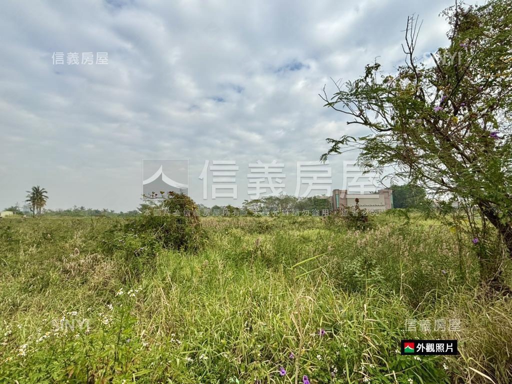 近嘉藥都計內大坪農地房屋室內格局與周邊環境