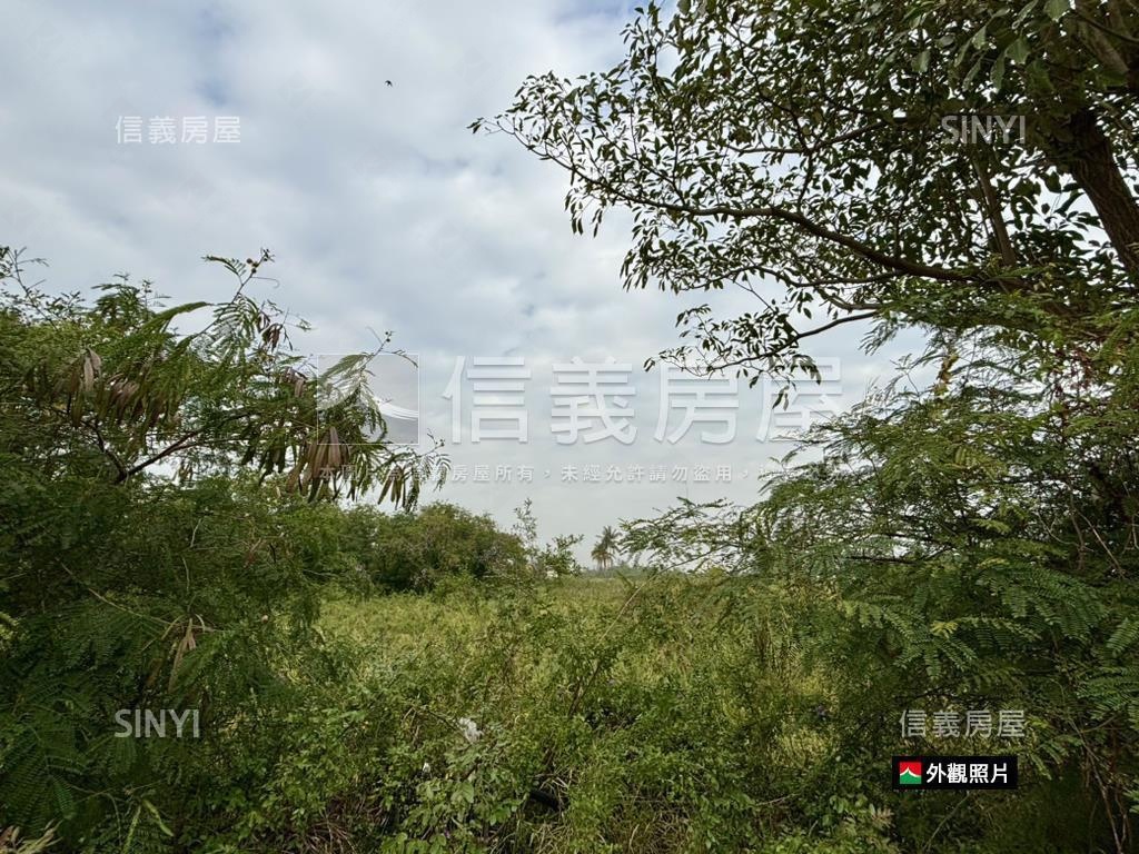 近嘉藥都計內大坪農地房屋室內格局與周邊環境