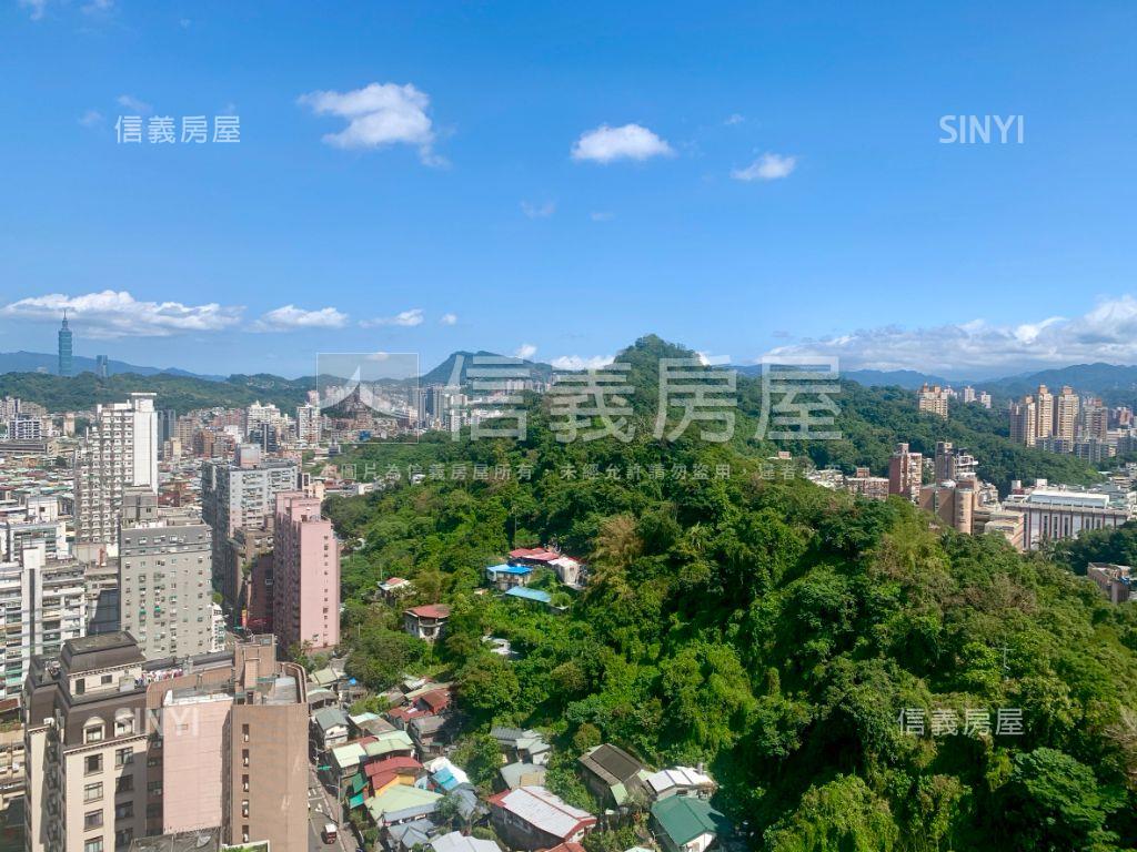天際ＳＫＹ高樓山景２房房屋室內格局與周邊環境