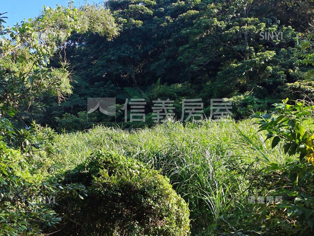老莊路旁農地房屋室內格局與周邊環境