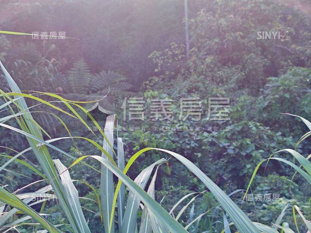 老莊路旁農地房屋室內格局與周邊環境
