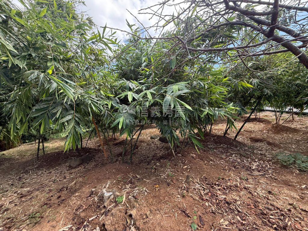 八里稀有臨路農家樂趣房屋室內格局與周邊環境