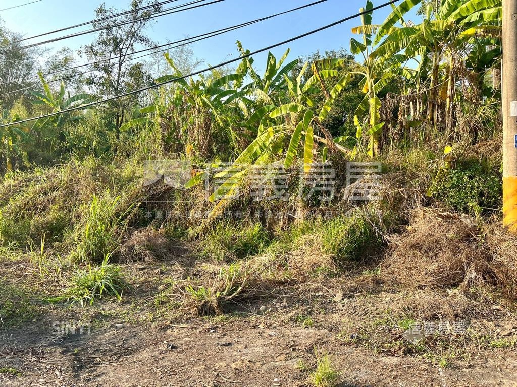 玉井台８４旁４．９分農地房屋室內格局與周邊環境