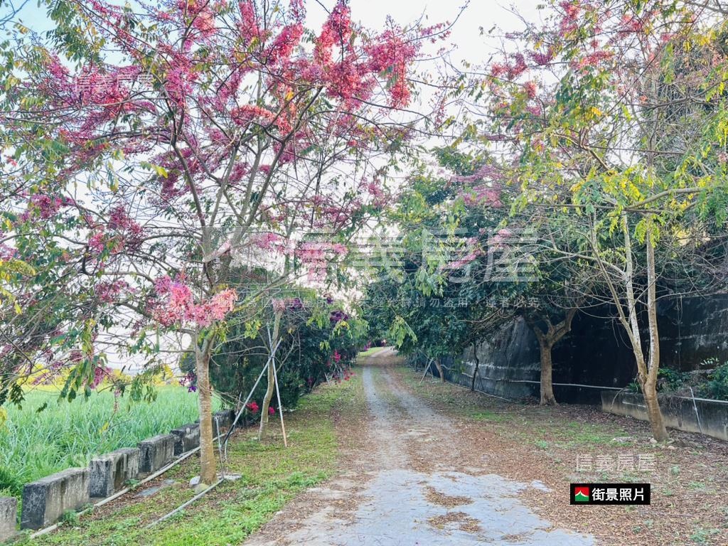 玉井台８４旁４．９分農地房屋室內格局與周邊環境