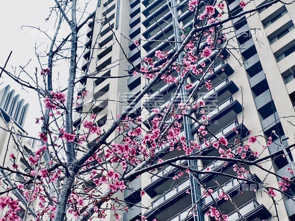 近園區近學校晴空匯三房房屋室內格局與周邊環境