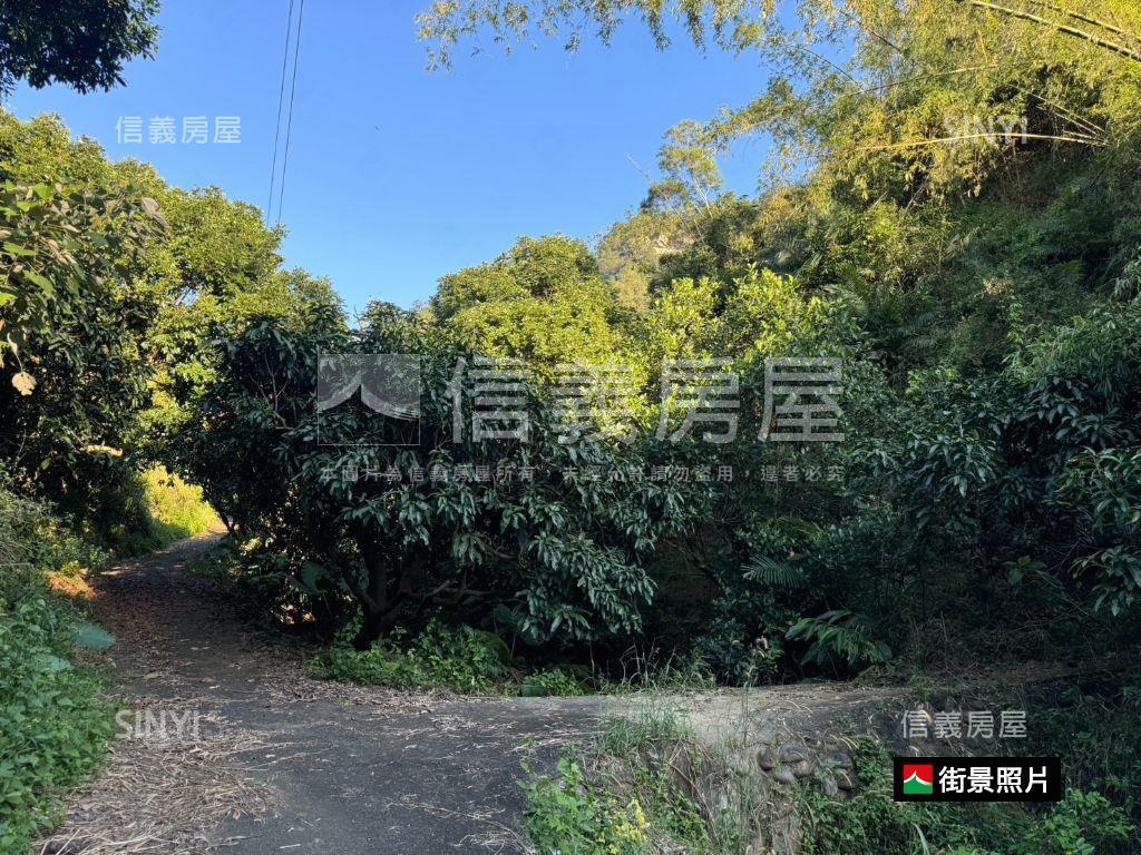 楠西區旅館用地房屋室內格局與周邊環境