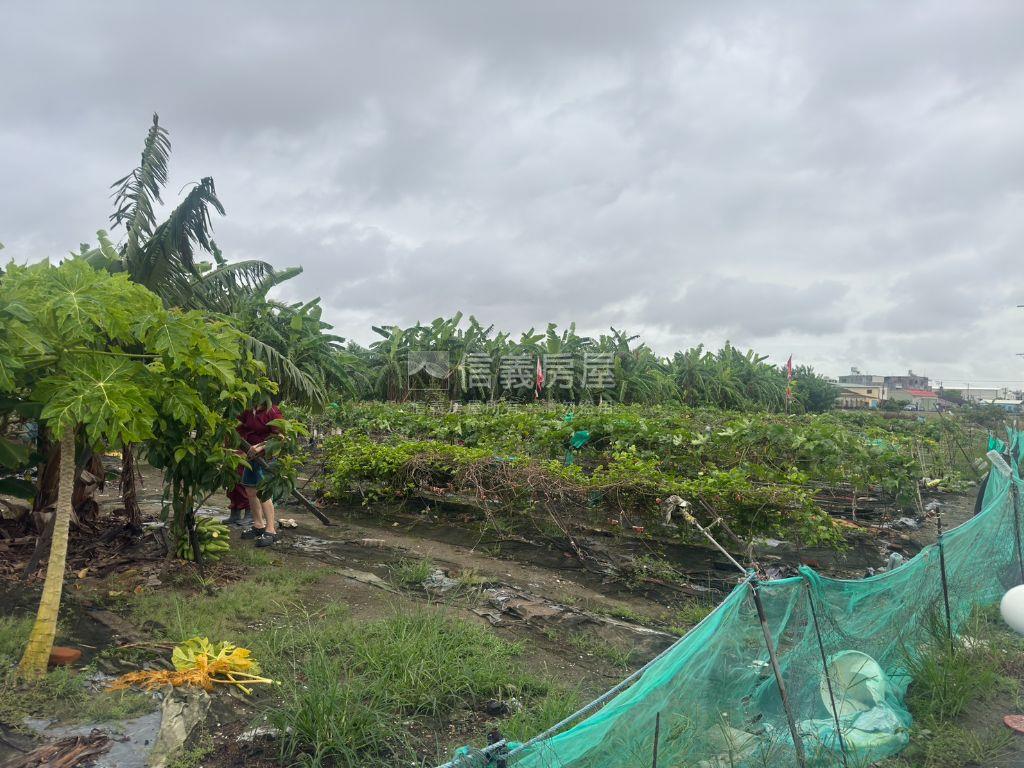 南興國小鄰近土地房屋室內格局與周邊環境